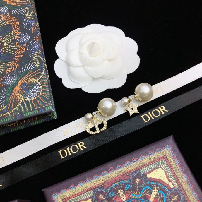 Christian Dior Earrings